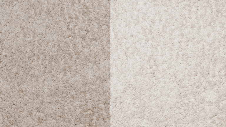 Untitled design - 2025-08-03T220456.914
